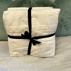 EUC- West Elm Euro Sham (3)